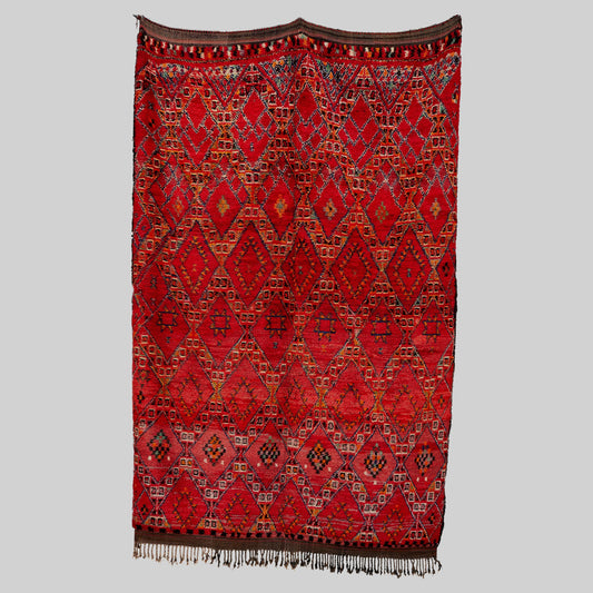 Damya Rug - Photo 1